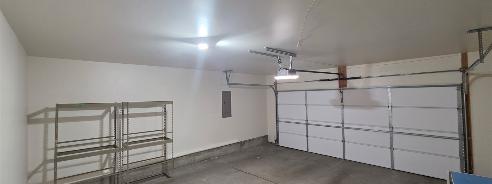 Eagan Garage Ceiling Mold Repair and Repaint